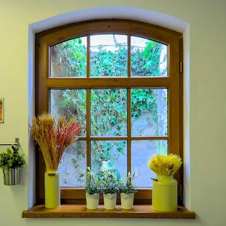 شقة Z Zielonym Tarasem Centrum كارباش